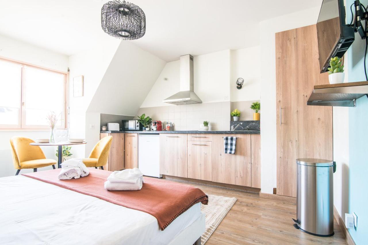 Lumineux - L'Oasis - Parking Prive Apartment Strasbourg Luaran gambar